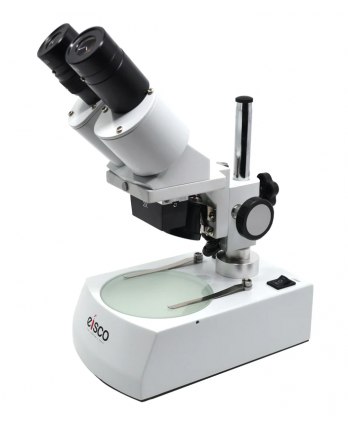 Stereoscopic Microscope - Binocular Head Inclined at 45 Degrees, Fitted with Adjustable Pillar