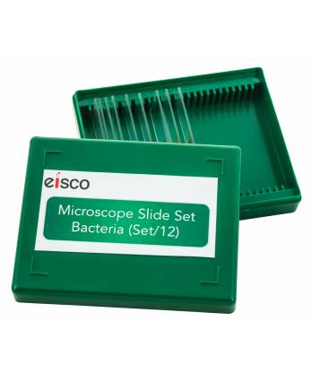 Microscope Slide Set - Bacteria, Set of 12