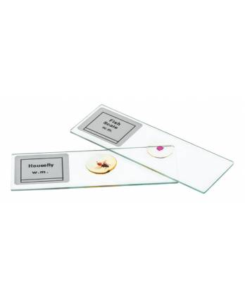 Microscope Slide Set, Basic Biology