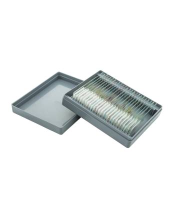 Microscope Slide Set - Biology, Set of 25