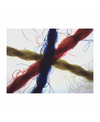 Crossed, Colored Threads - Prepared Microscope Slide