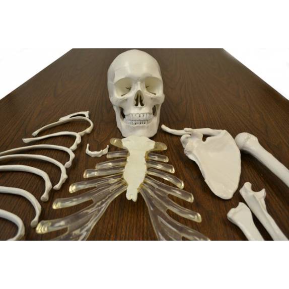 BIOLOGY