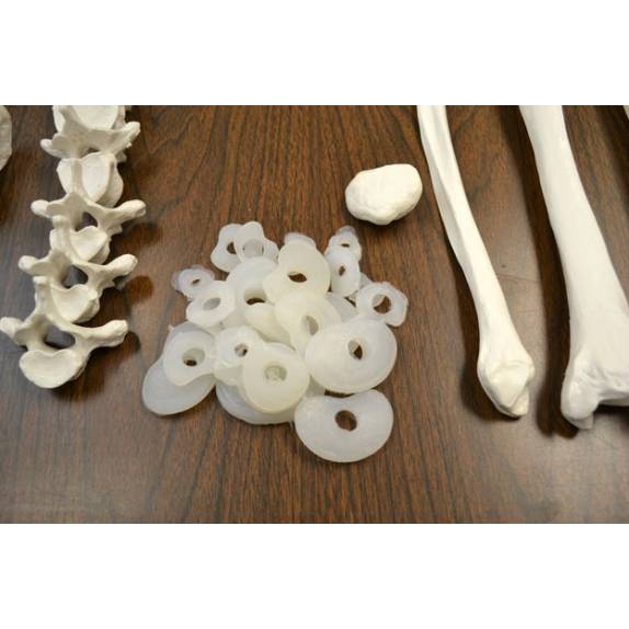 BIOLOGY