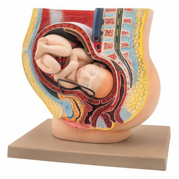 BIOLOGY