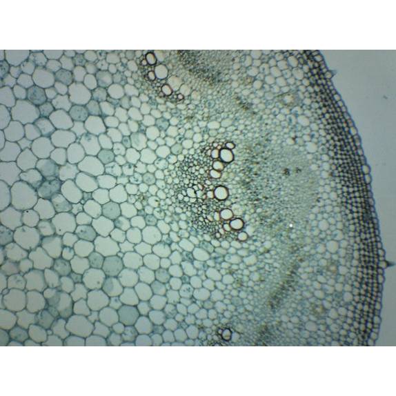 BIOLOGY
