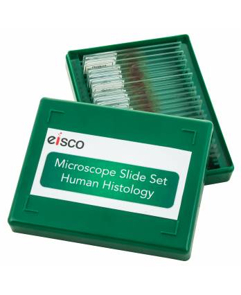 Microscope Slide Set - Human Histology, Set of 25