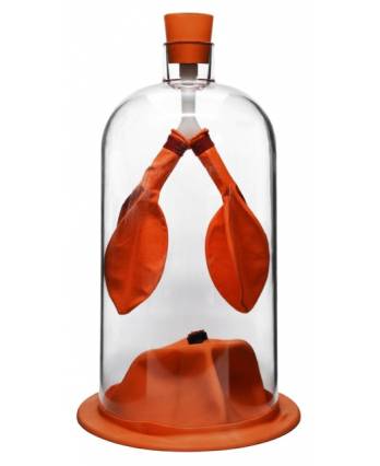 Lung Function Demonstration Model