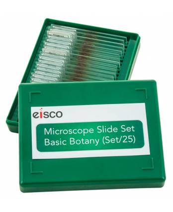Microscope Slide Set - Basic Botany Models, Set of 25