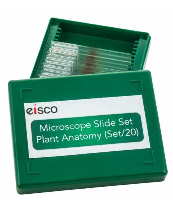 Microscope Slide Set - Basic Plant Anatomy, Set of 20