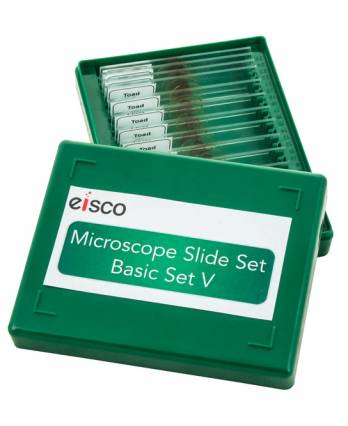 Microscope Slide Set - Protozoa & Algae, Set of 20