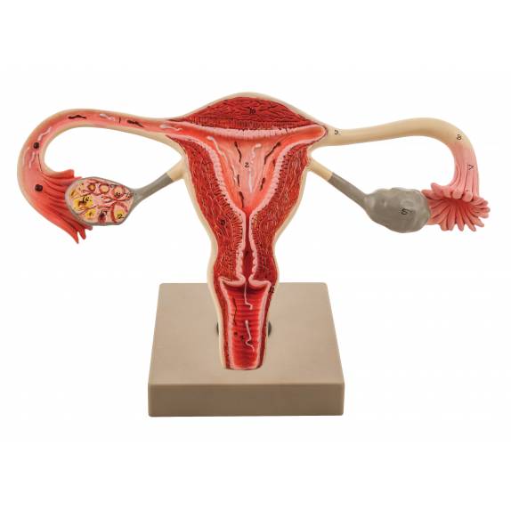 BIOLOGY