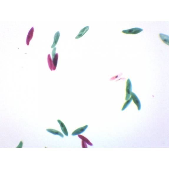BIOLOGY