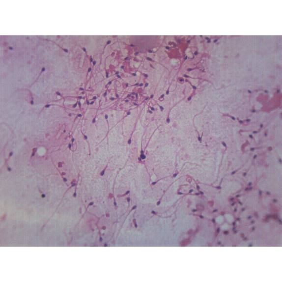 BIOLOGY