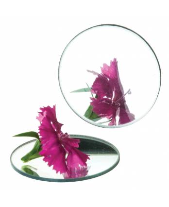 Concave Mirror, 10cm Dia., 10cm Focal Length - Eisco Labs