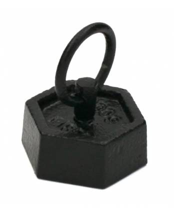 Iron Masses - Hexagonal with Lifting Ring - 100g - Eisco Labs