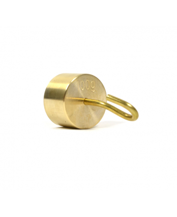 Individual Hooked Weights, Brass - 100g